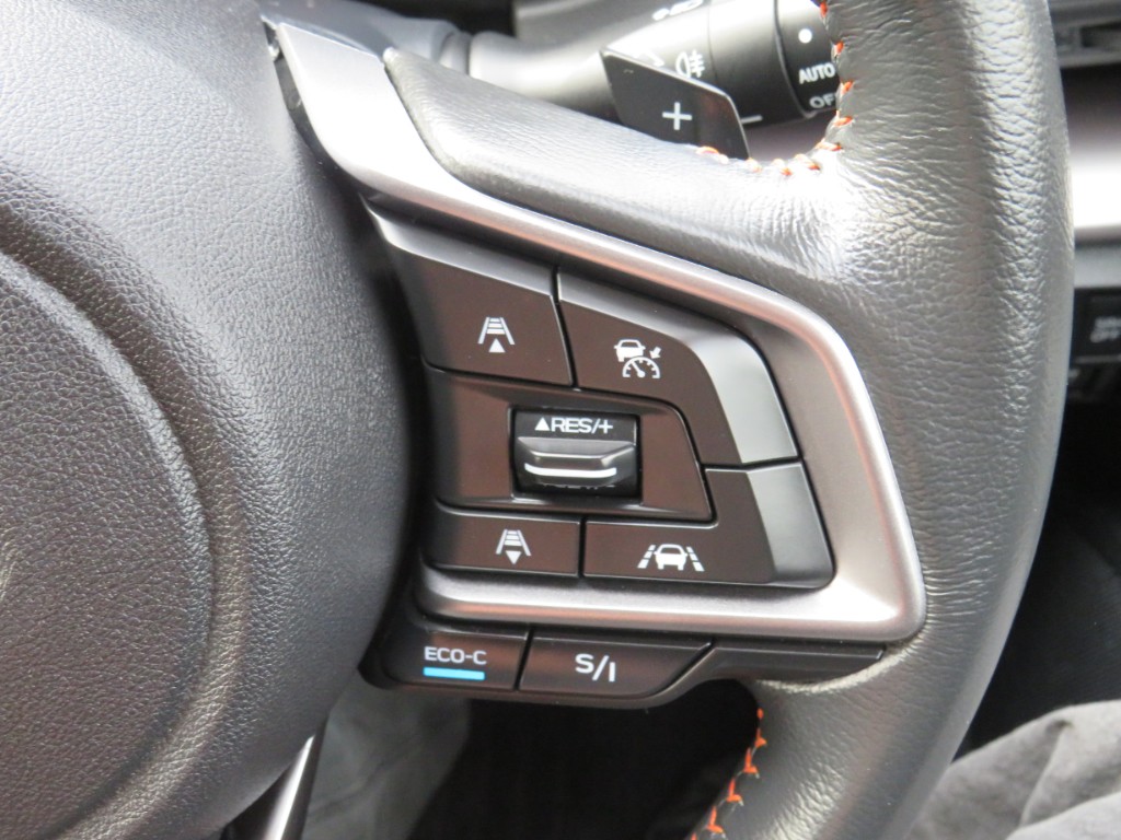S8054615.jpg