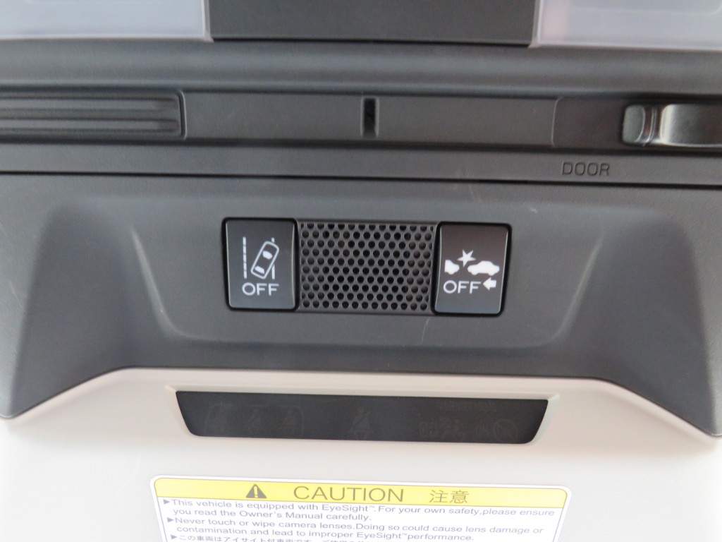 S8054619.jpg