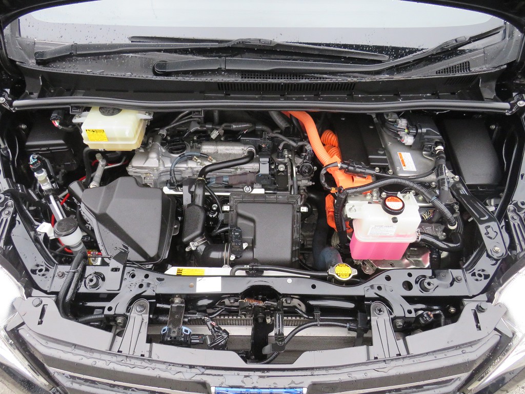 S8055721.jpg