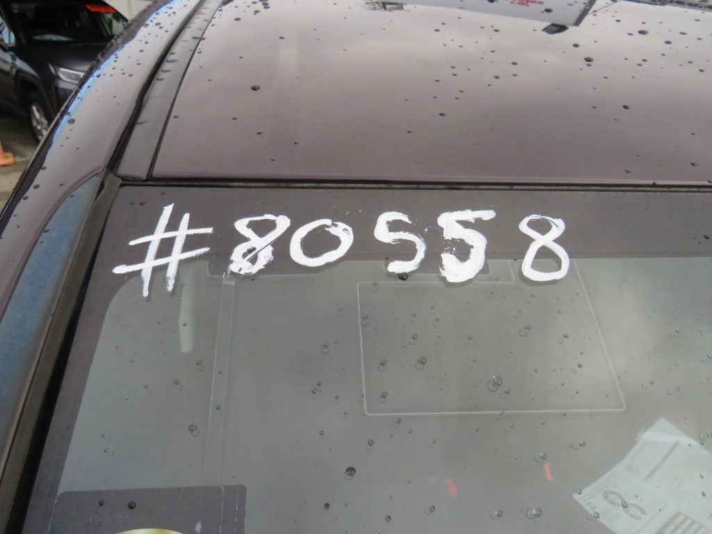 S8055821.jpg
