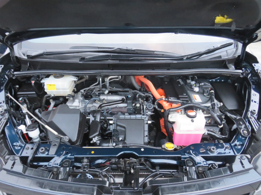 S8056320.jpg