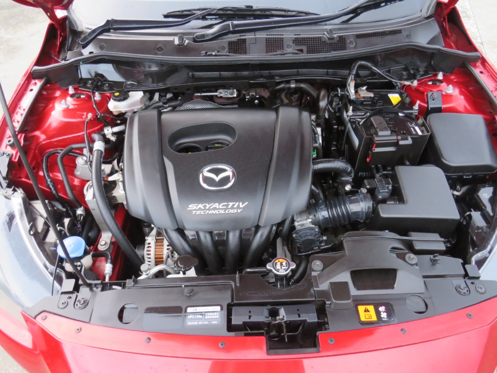 S8057020.jpg