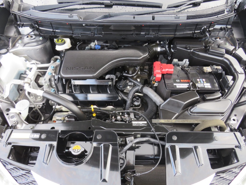S8057220.jpg