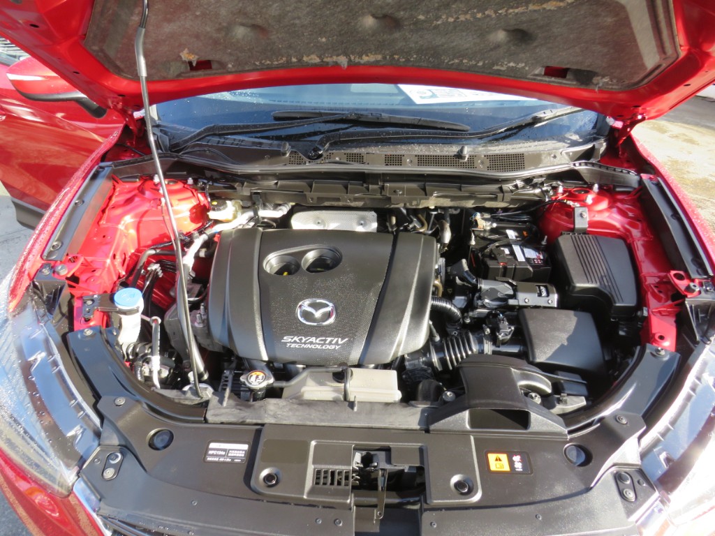 S8062320.jpg