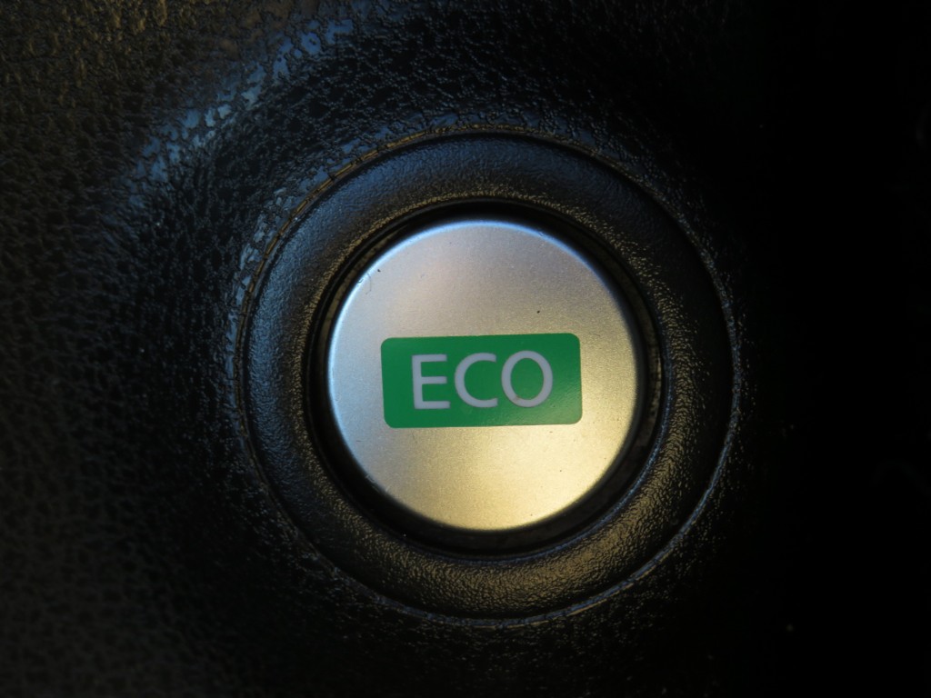 S8062915.jpg