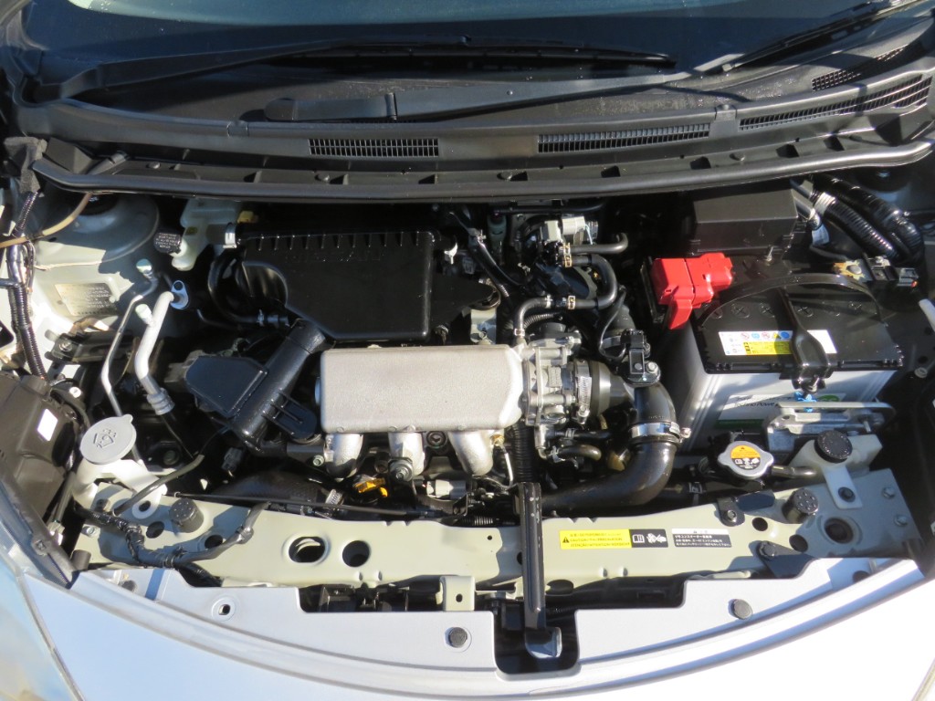 S8062920.jpg