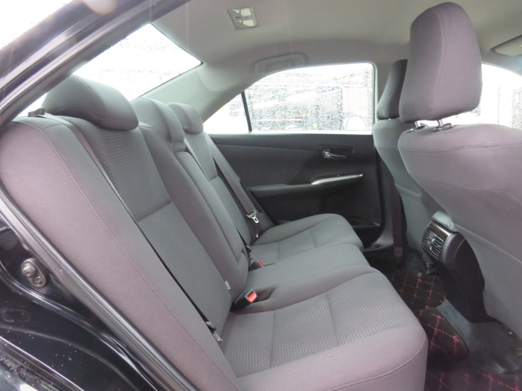 S8065011.jpg