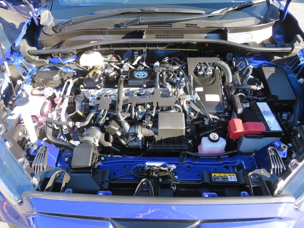 S8065220.jpg