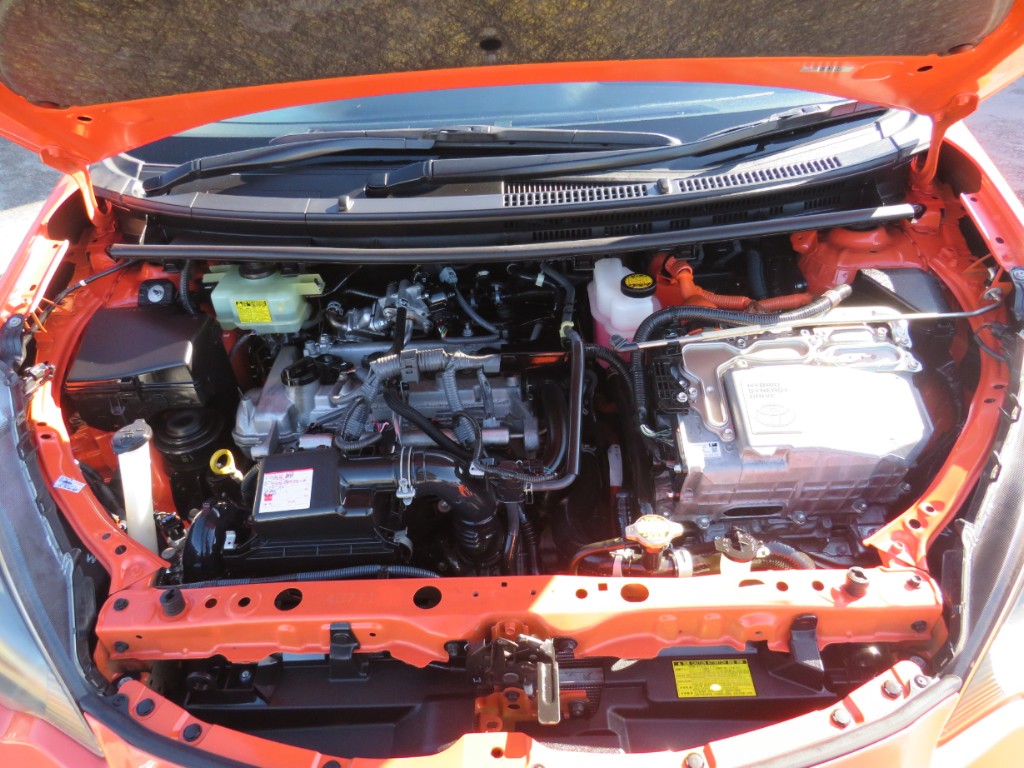 S8066121.jpg