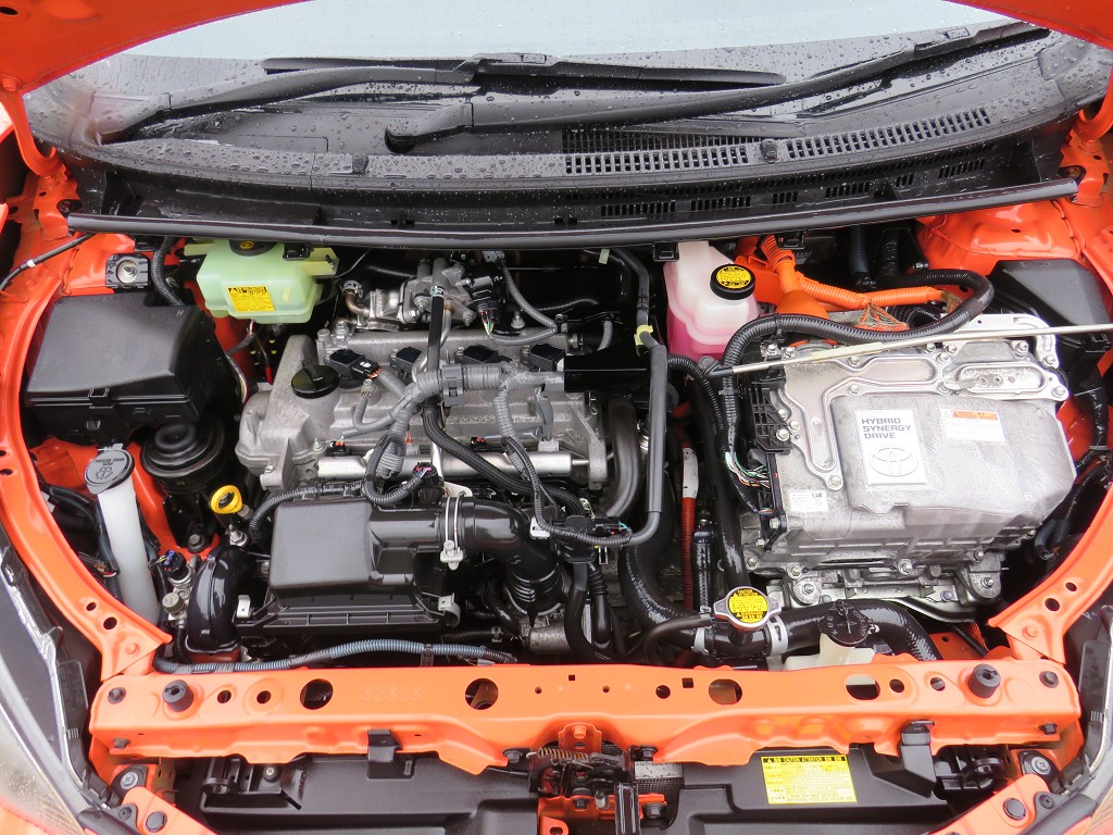 S8066220.jpg