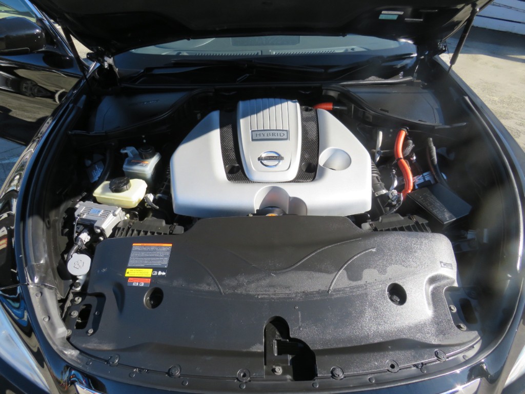 S8067619.jpg