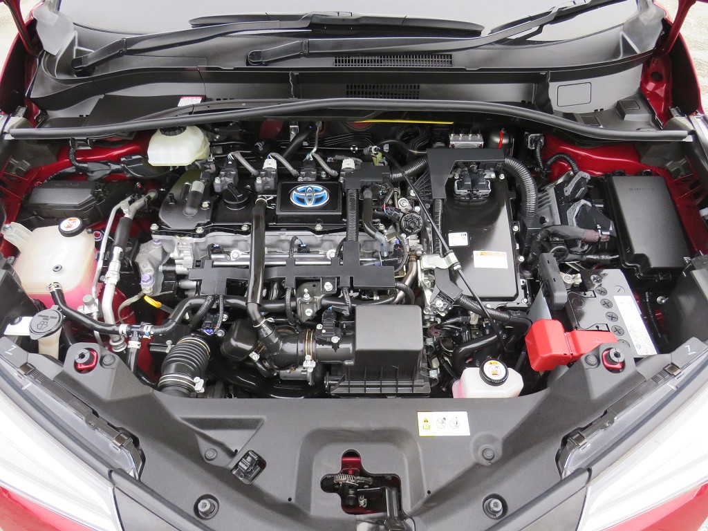 S8069921.jpg