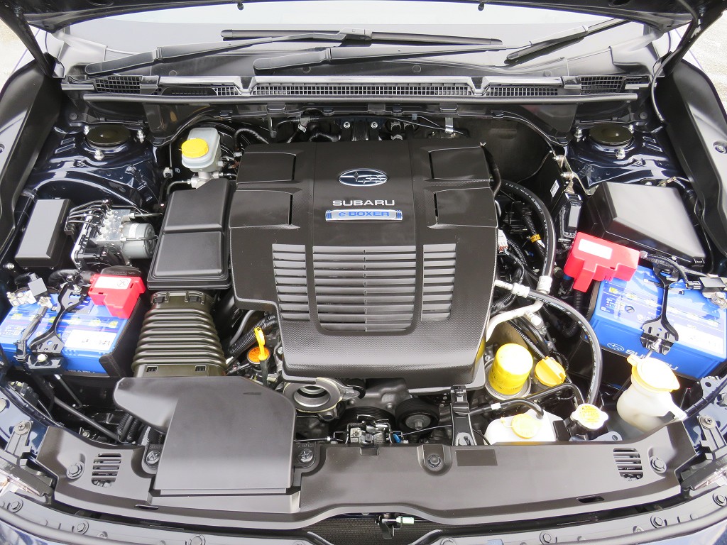 S8071121.jpg