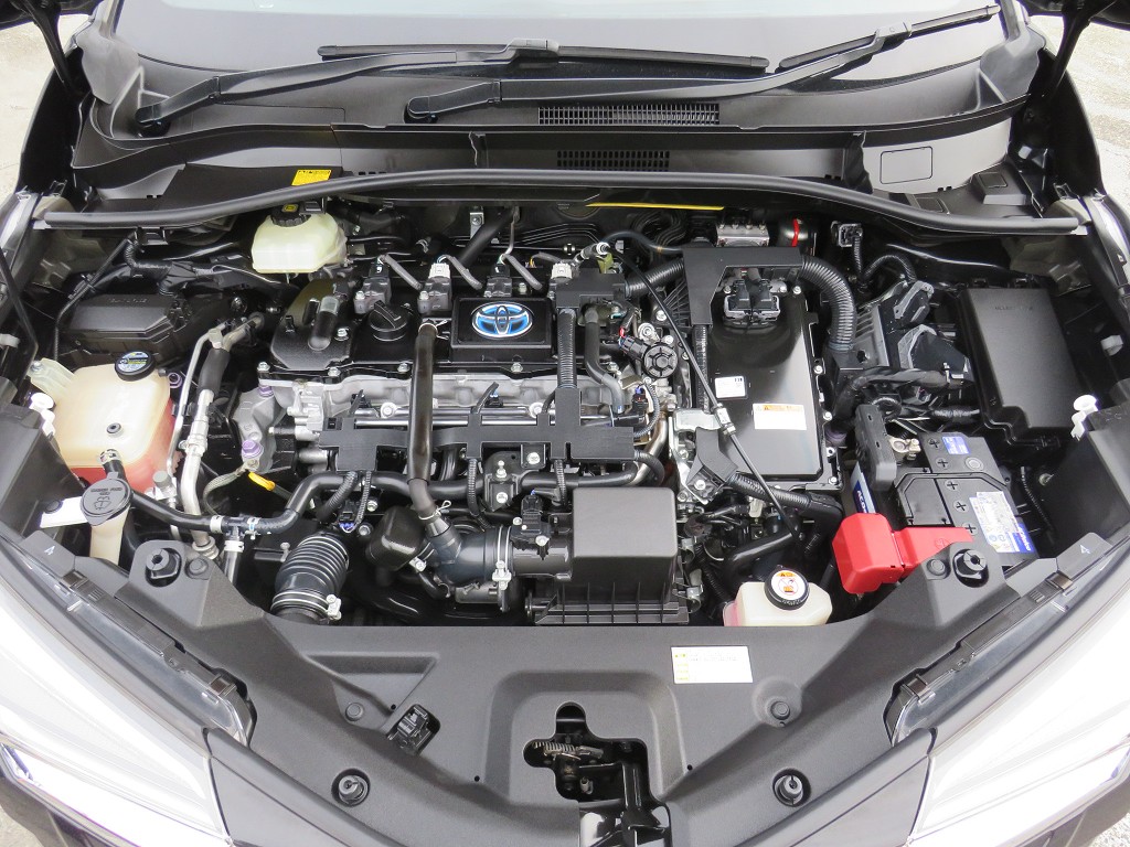 S8071221.jpg