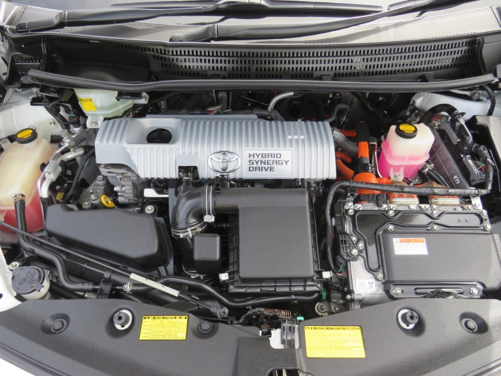 S8074719.jpg
