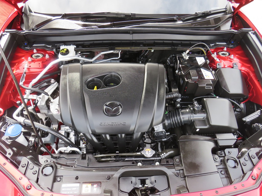 S8079820.jpg