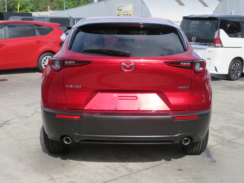 S807988.jpg