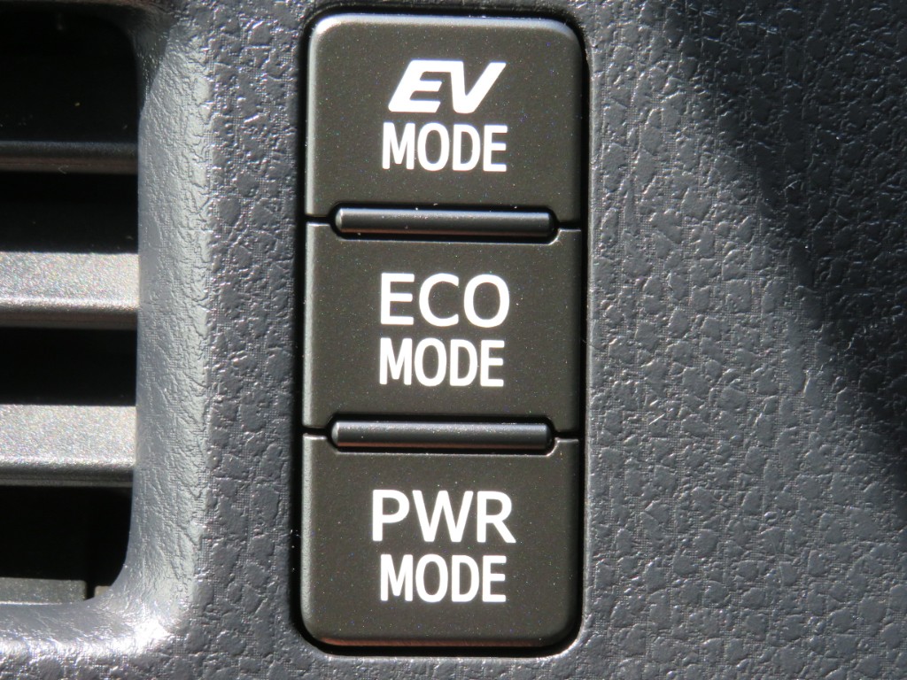 S8082619.jpg