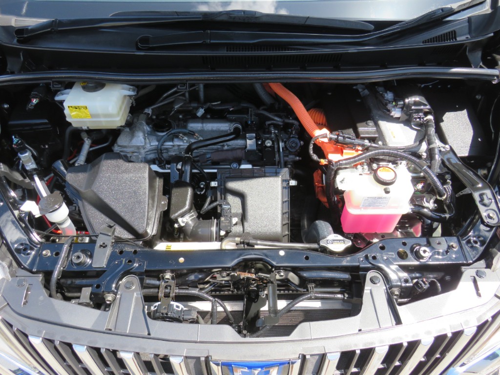 S8082621.jpg
