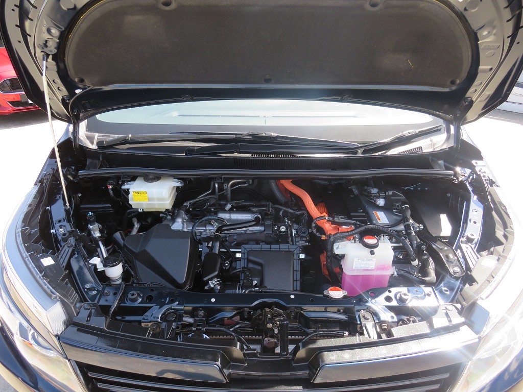 S8083021.jpg