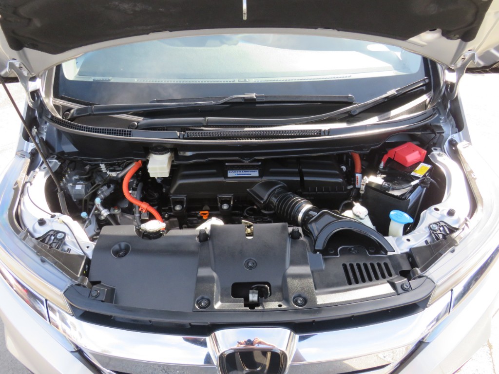 S8083321.jpg