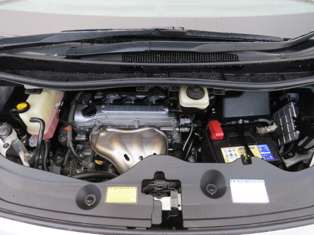 S8083921.jpg