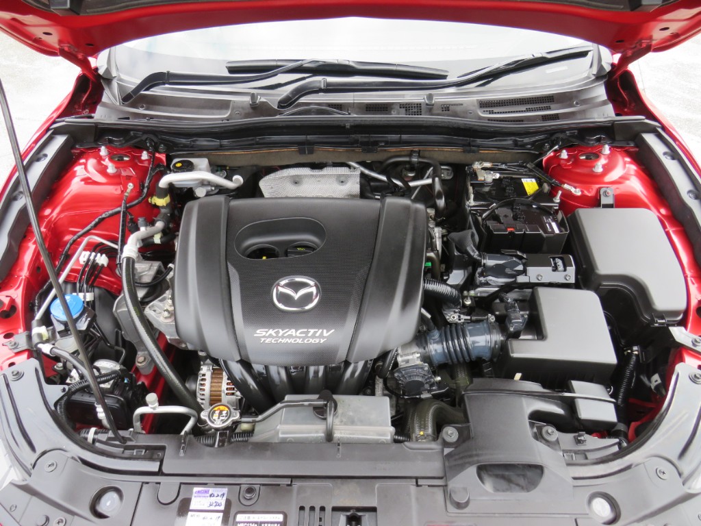 S8084120.jpg
