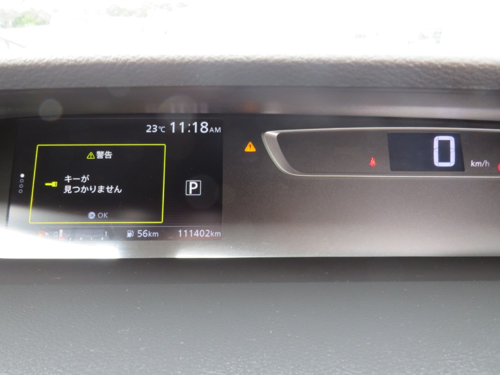 S8084919.jpg