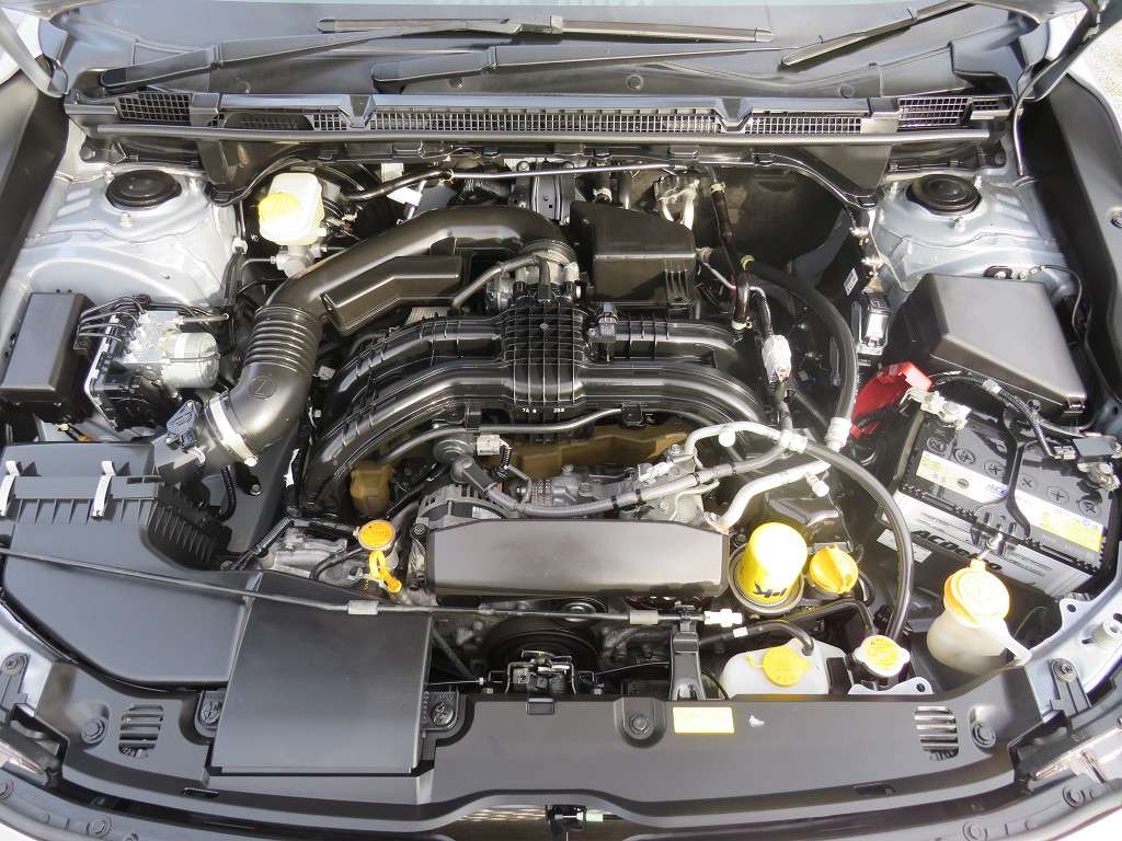 S8086521.jpg