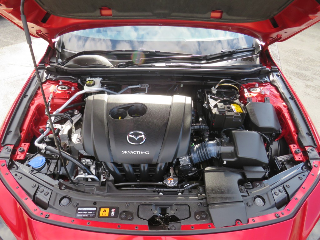 S8087921.jpg