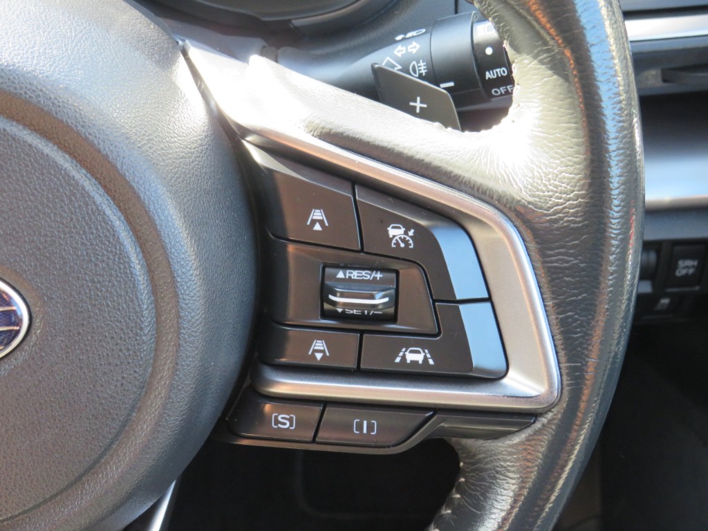 S8088216.jpg