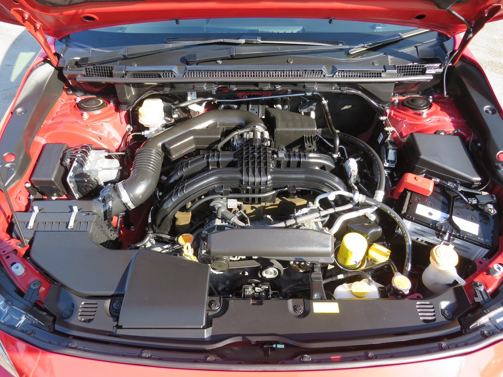 S8088221.jpg