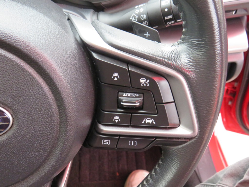 S8088316.jpg