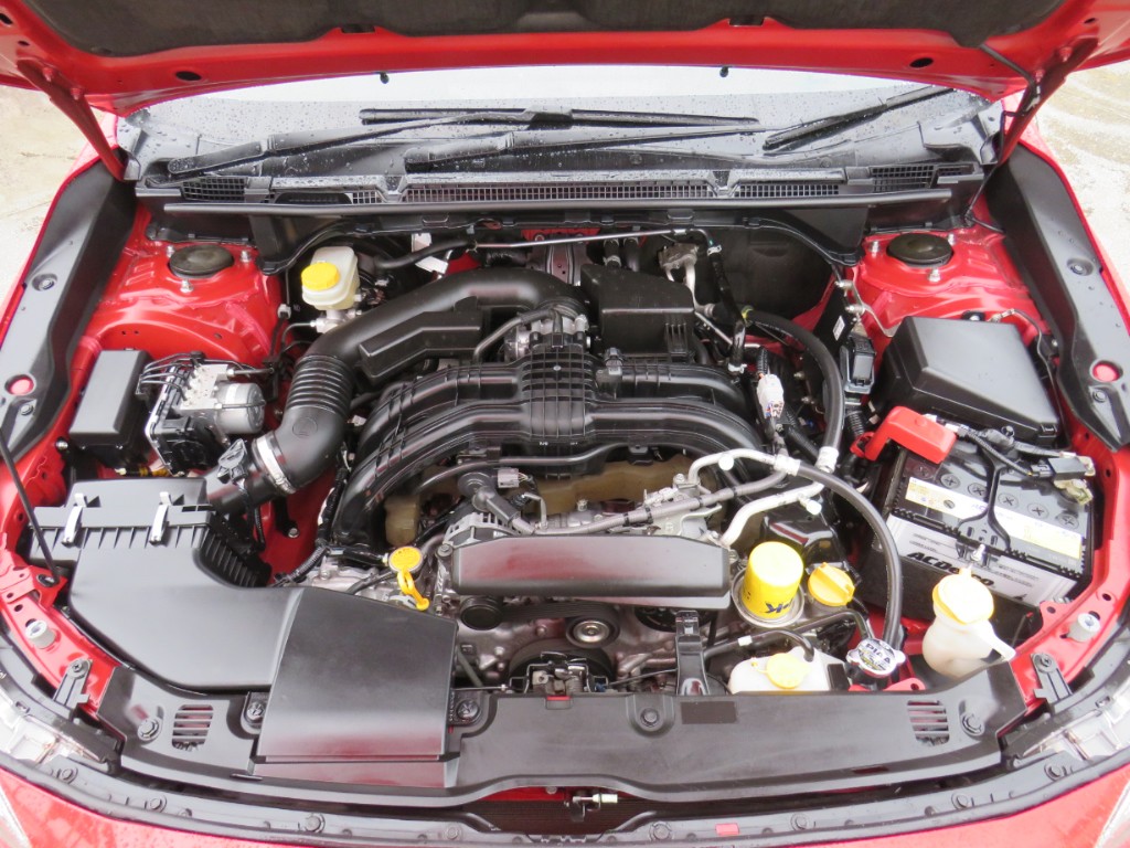 S8088321.jpg