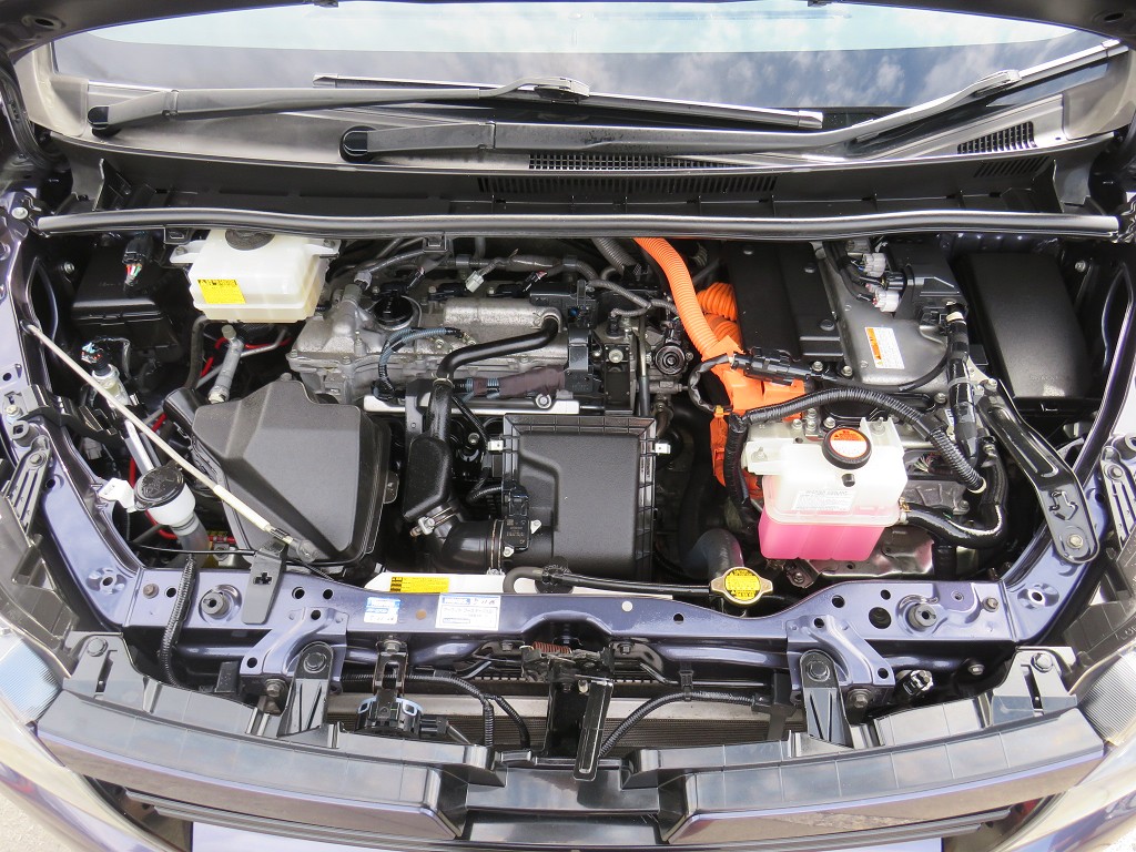 S8089320.jpg