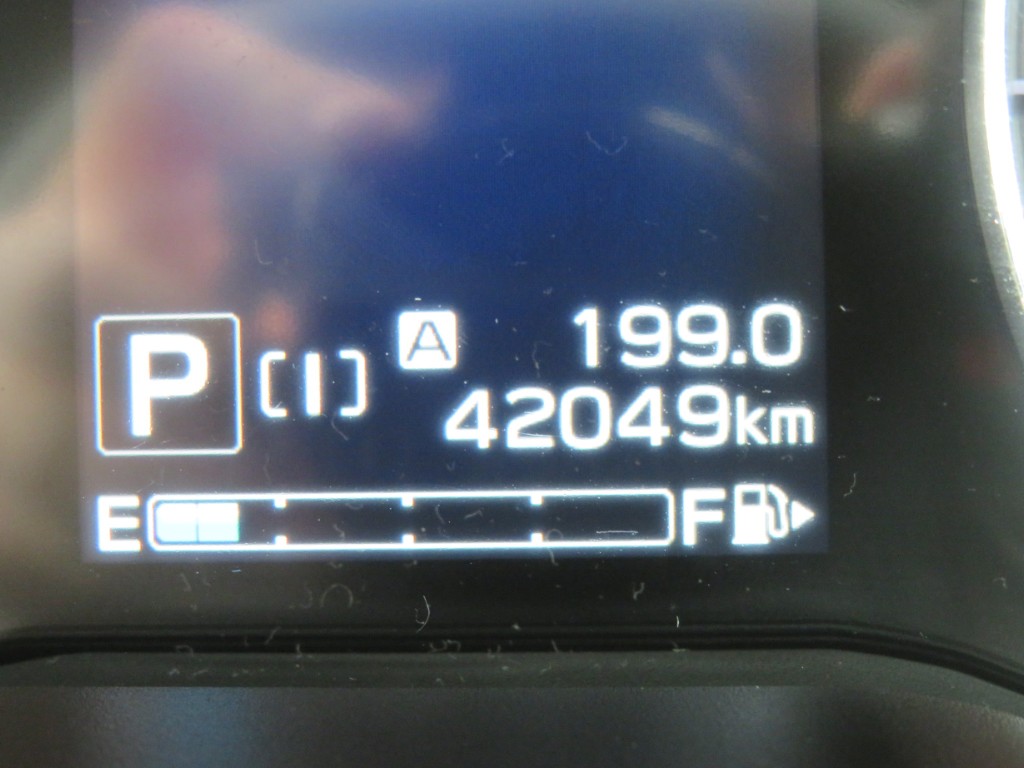 S8089719.jpg