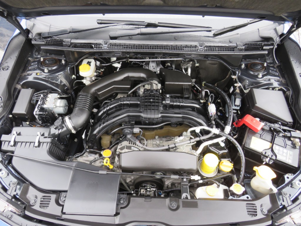S8089721.jpg