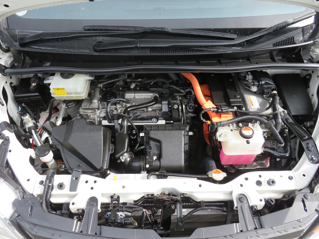 S8090021.jpg