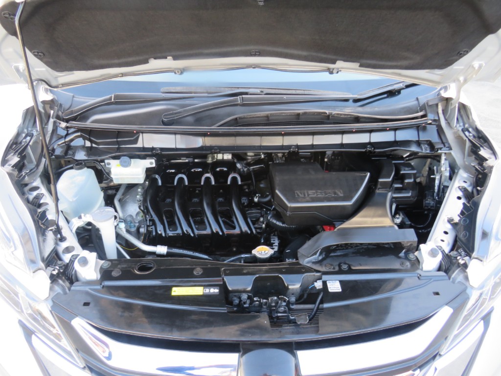 S8090421.jpg