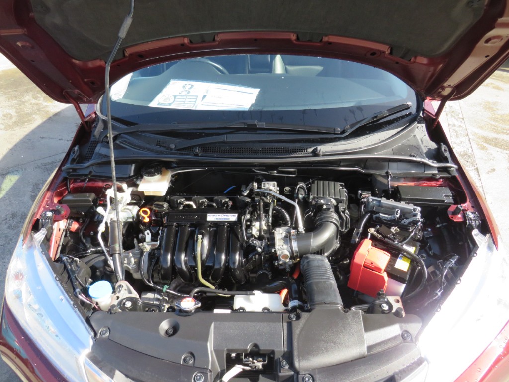 S8091019.jpg