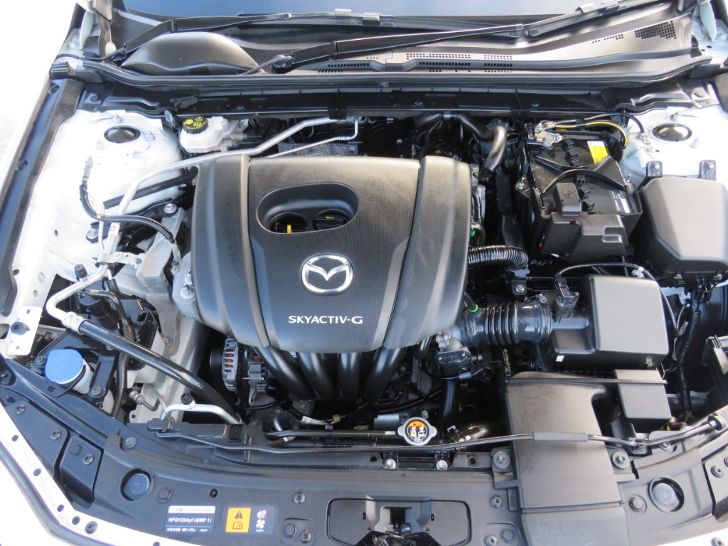 S8091118.jpg