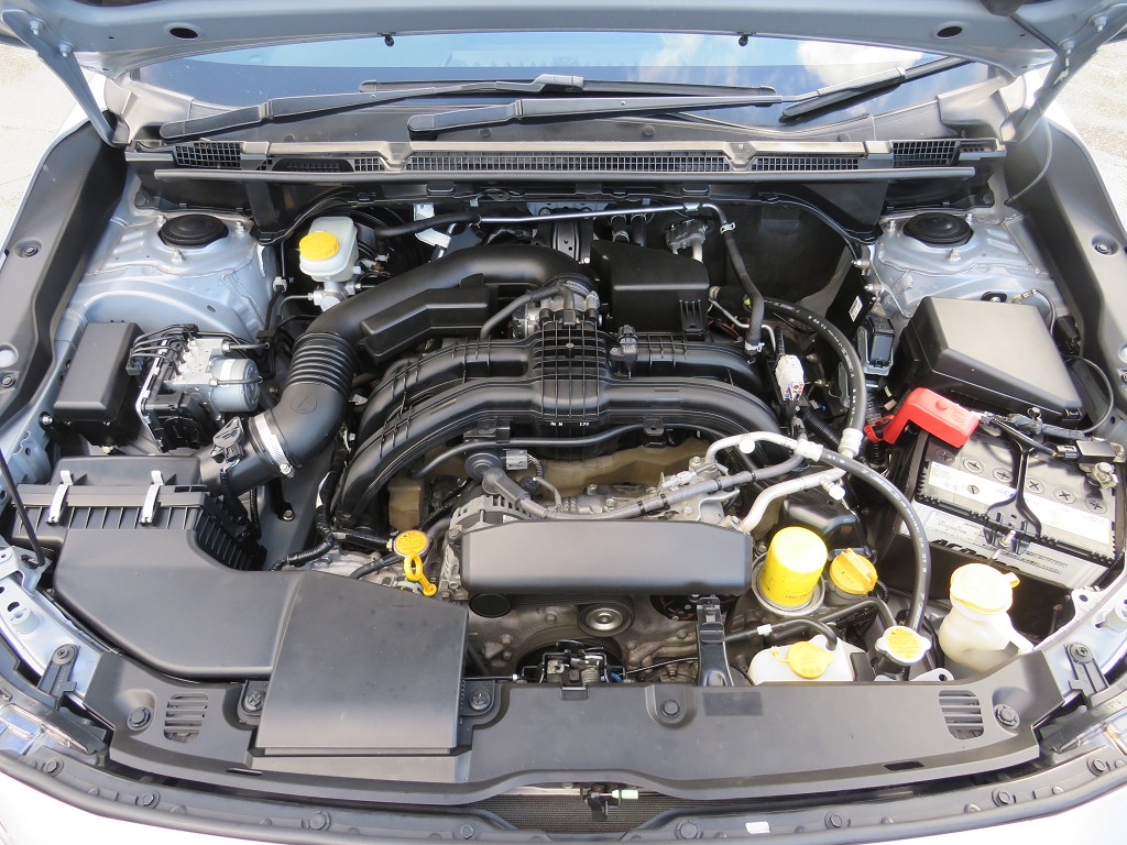 S8091621.jpg