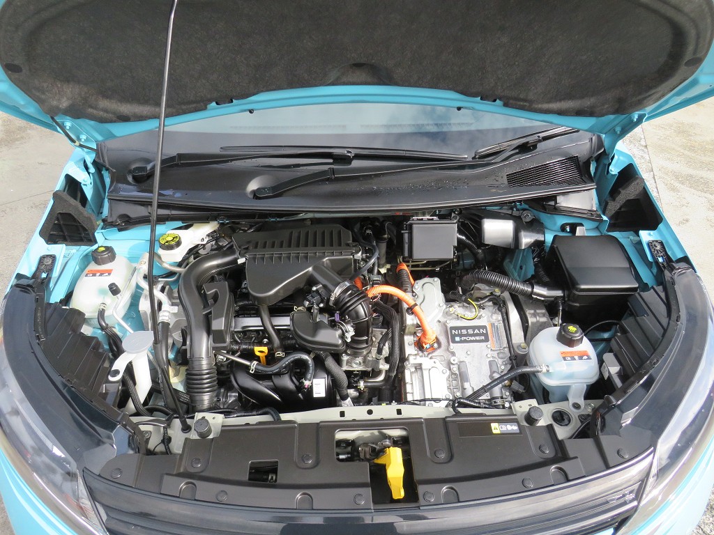 S8092221.jpg
