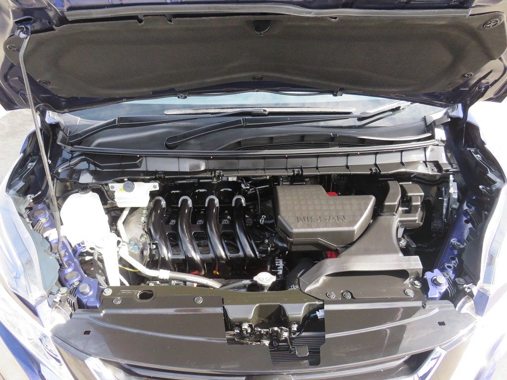 S8092321.jpg