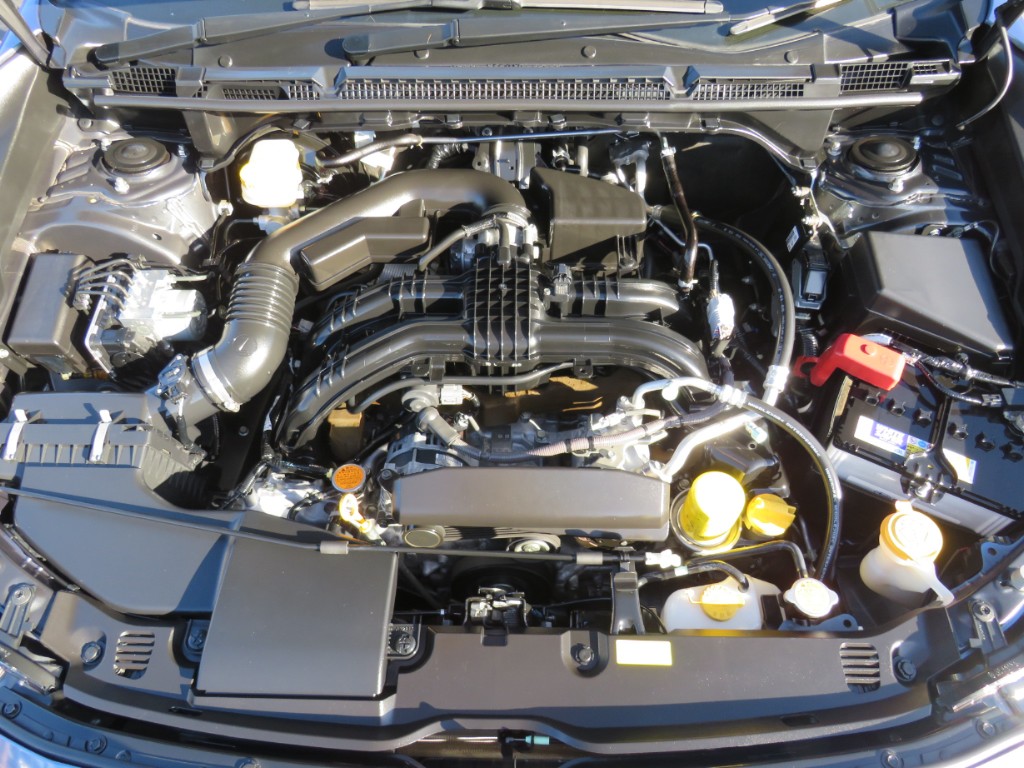 S8092421.jpg