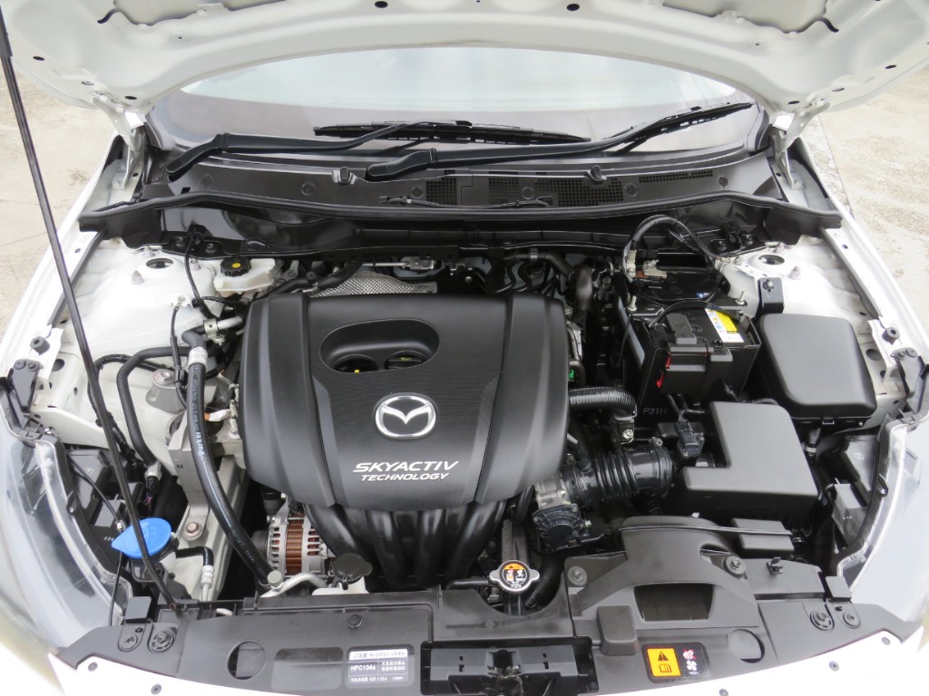 S8092721.jpg