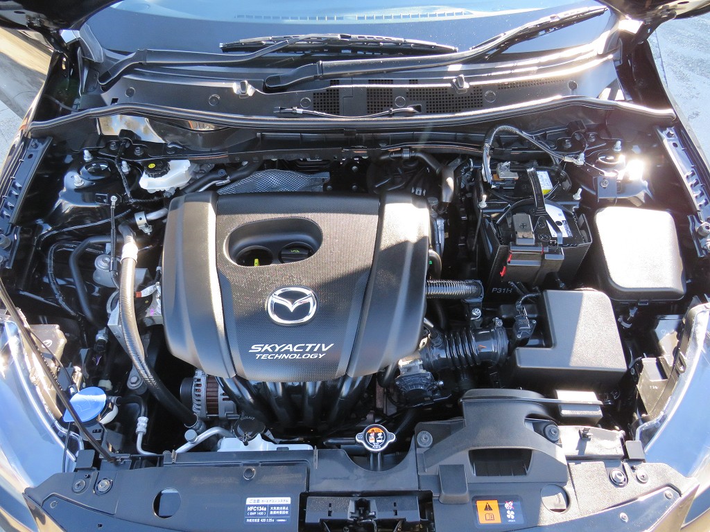 S8093321.jpg
