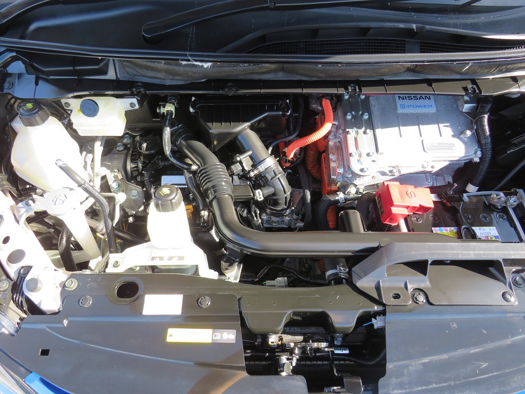 S8094121.jpg