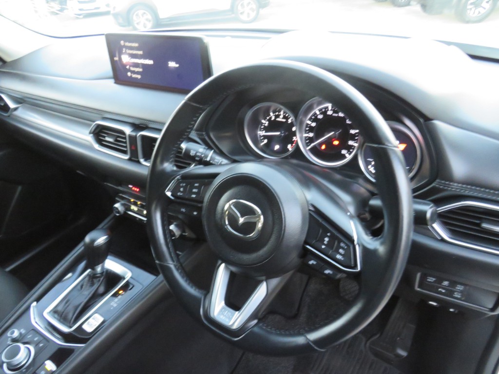 S8094815.jpg