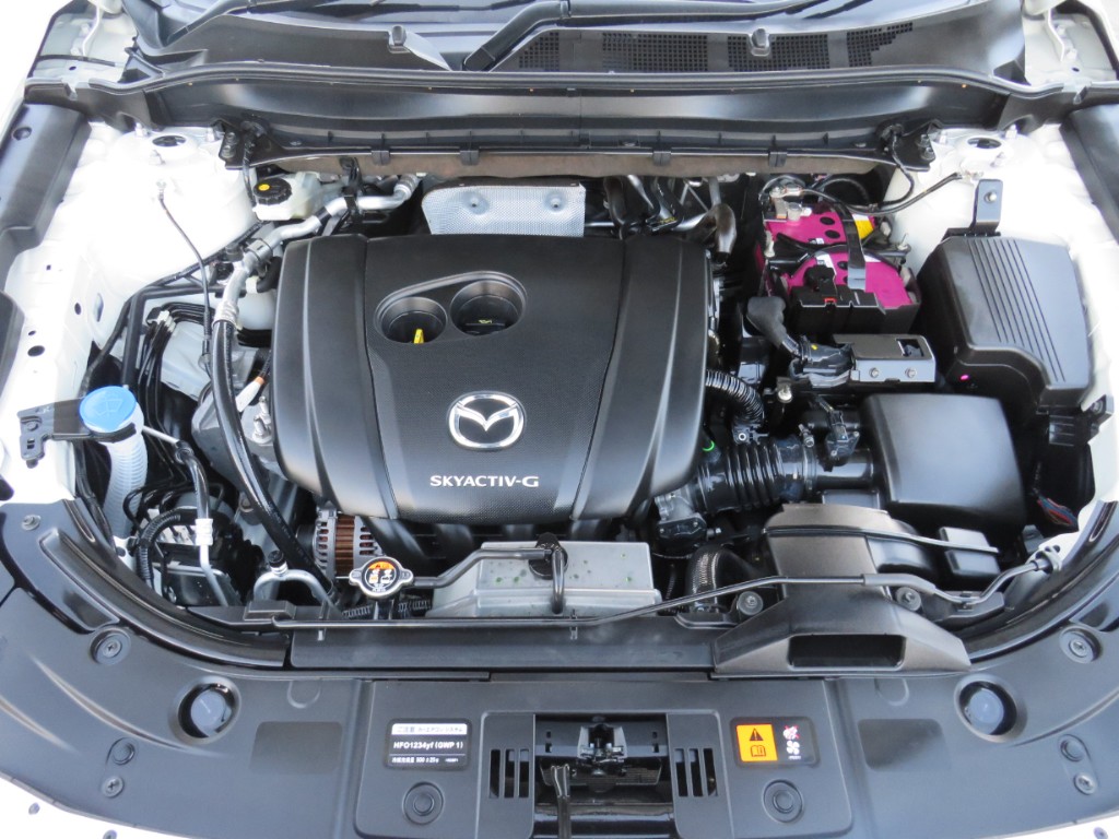 S8094821.jpg
